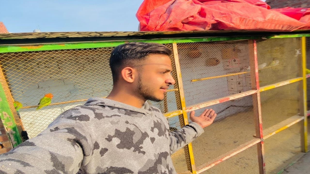 Master Cage Mein Bura Bhi Dal Diya
