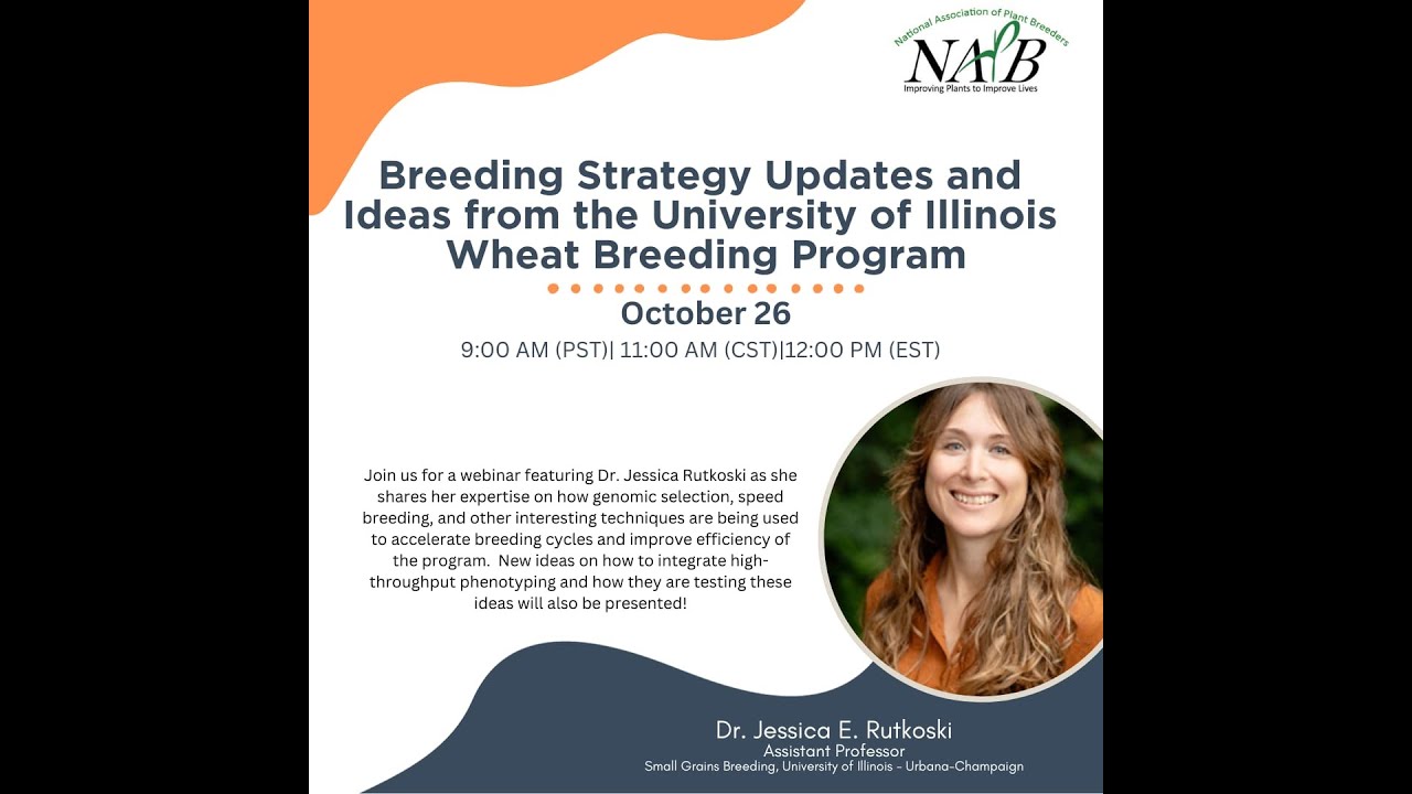 Breeding Strategy Updates and Ideas from the University of Illinois Wheat Breeding Program.