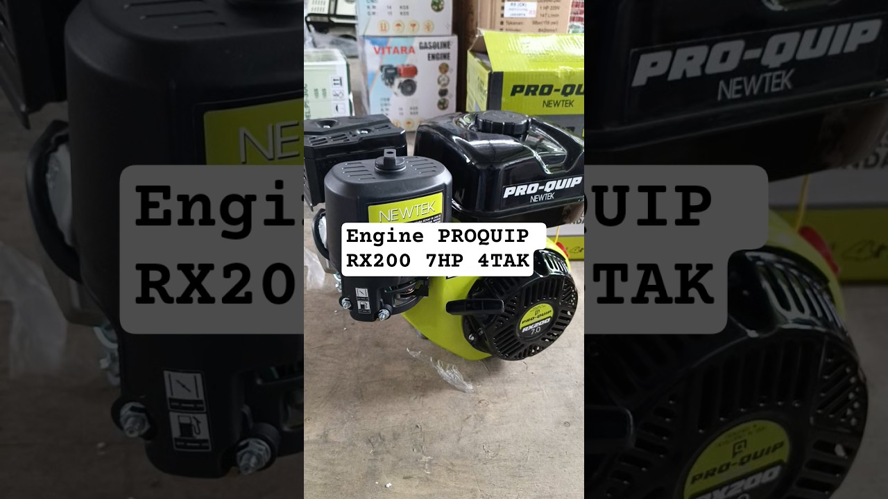 Engine PROQUIP RX200 7HP 4TAK 