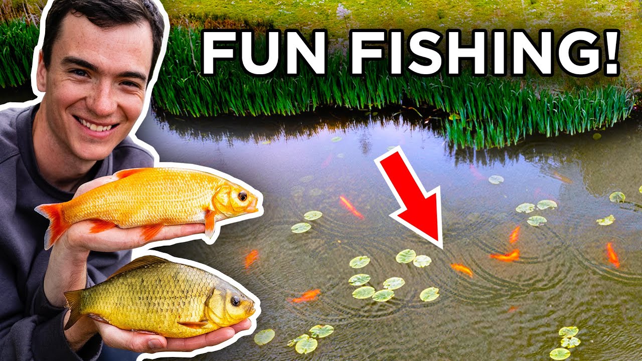 Float Fishing for Colourful Fish on a Beautiful Lake