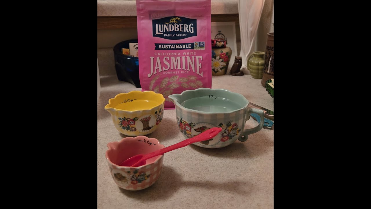 Norwegian Forest Cat Kitten Playing