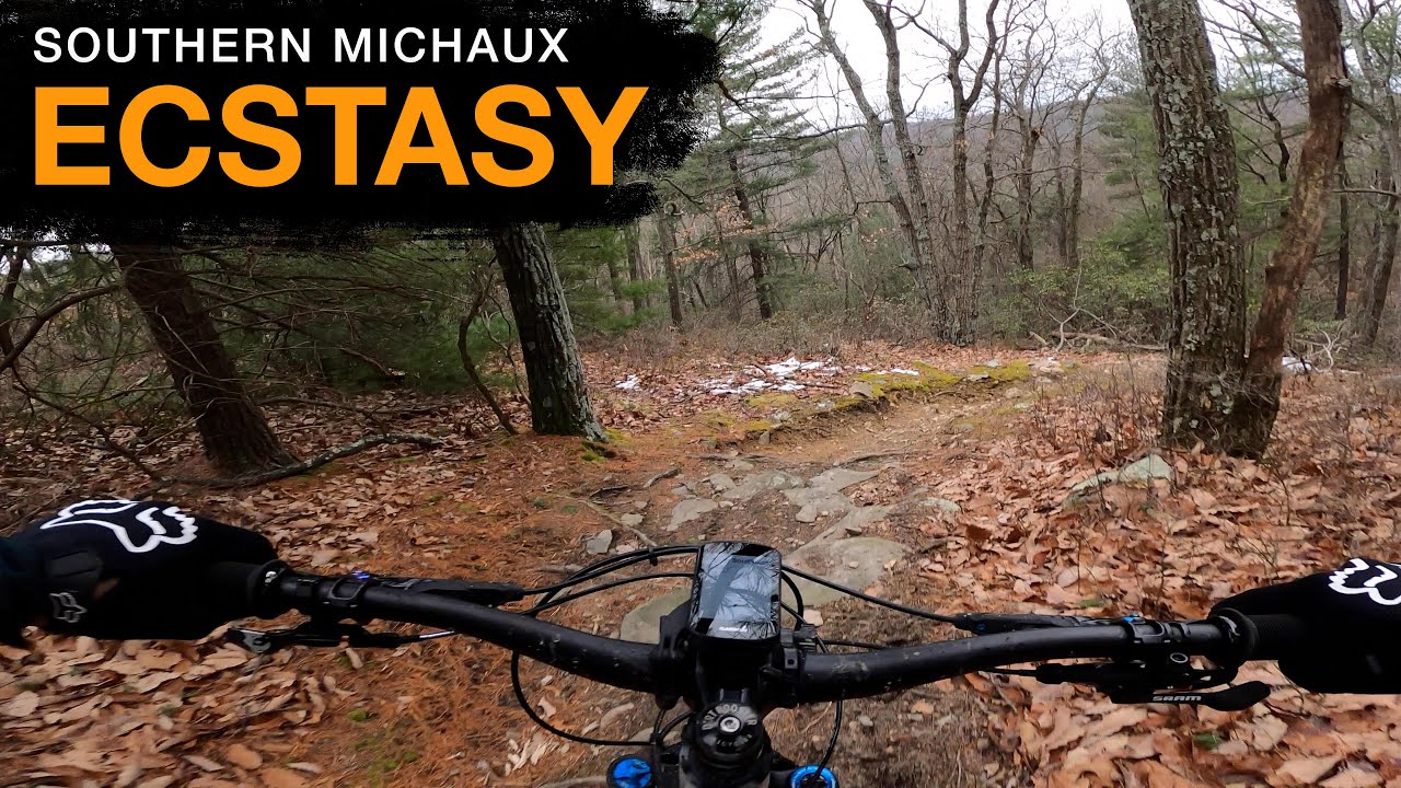 Ecstasy | Southern Michaux
