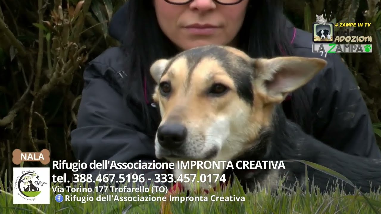 ASSOCIAZIONE IMPRONTA CREATIVA TROFARELLO (22) Puntata 1558