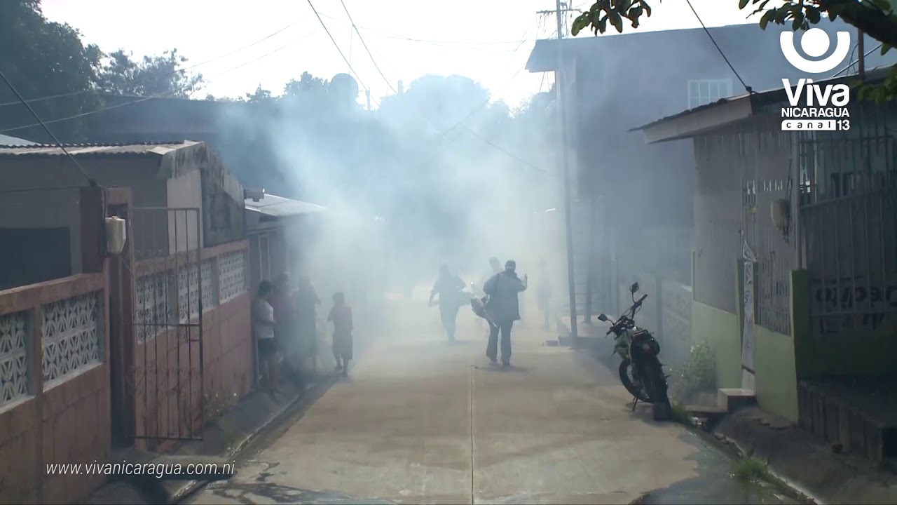 Aldedor de 786 viviendas del barrio La Esperanza fueron visitadas por Fumigadores