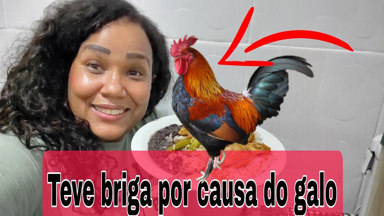FIZ O GALO QUE GANHEI DA MINHA IRMÃ 