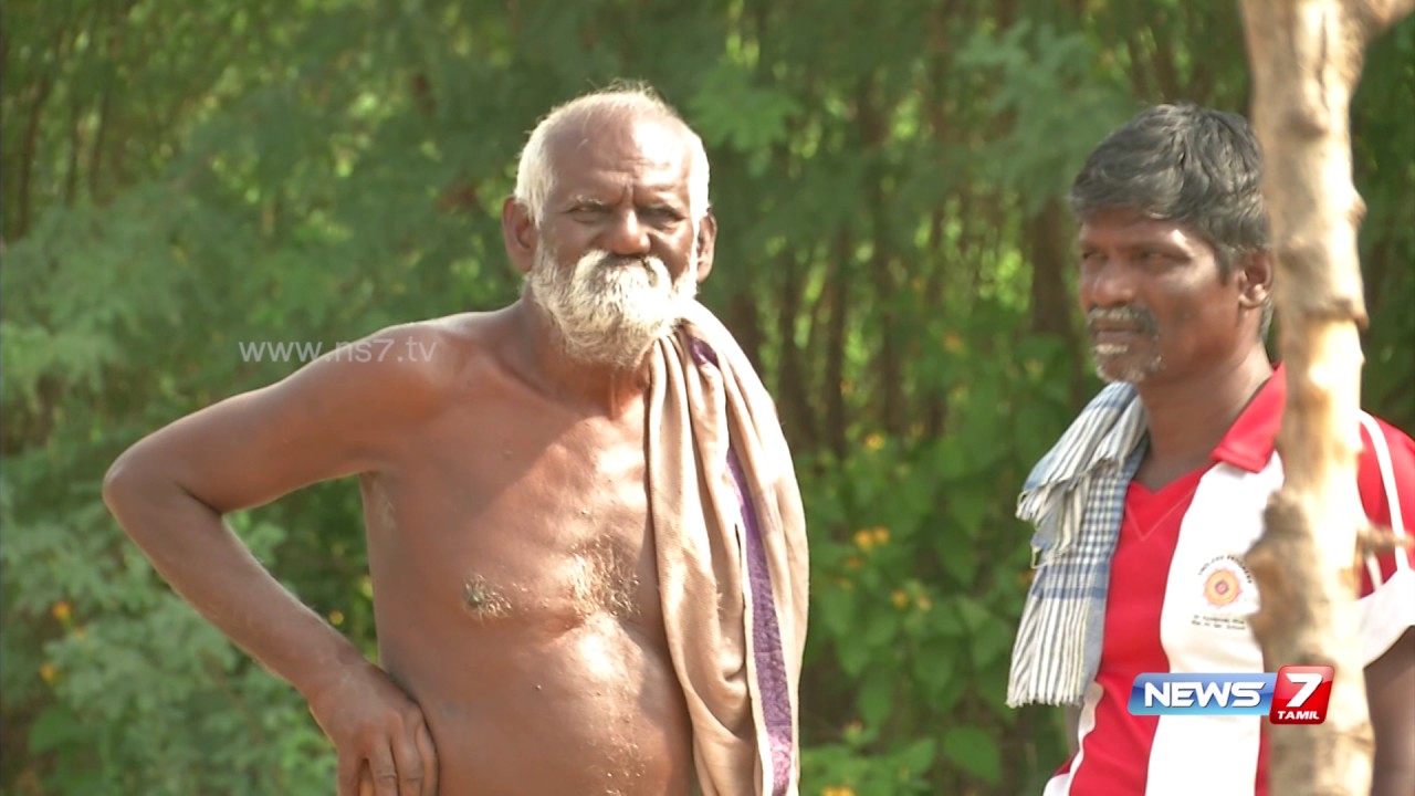 Temperament of Tamil Nadu dog breed 'Chippiparai' | News7 Tamil