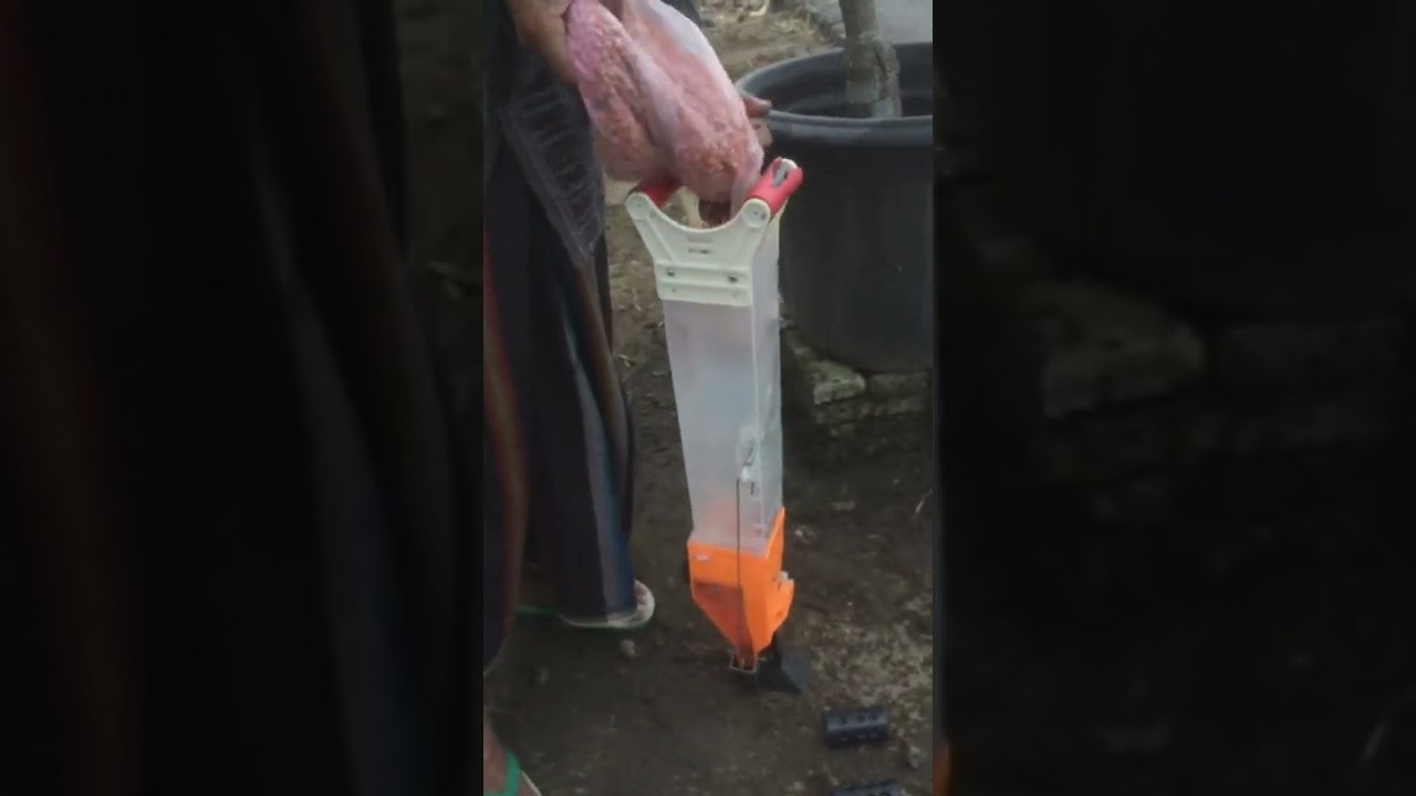 ALAT TANAM JAGUNG MANUAL
