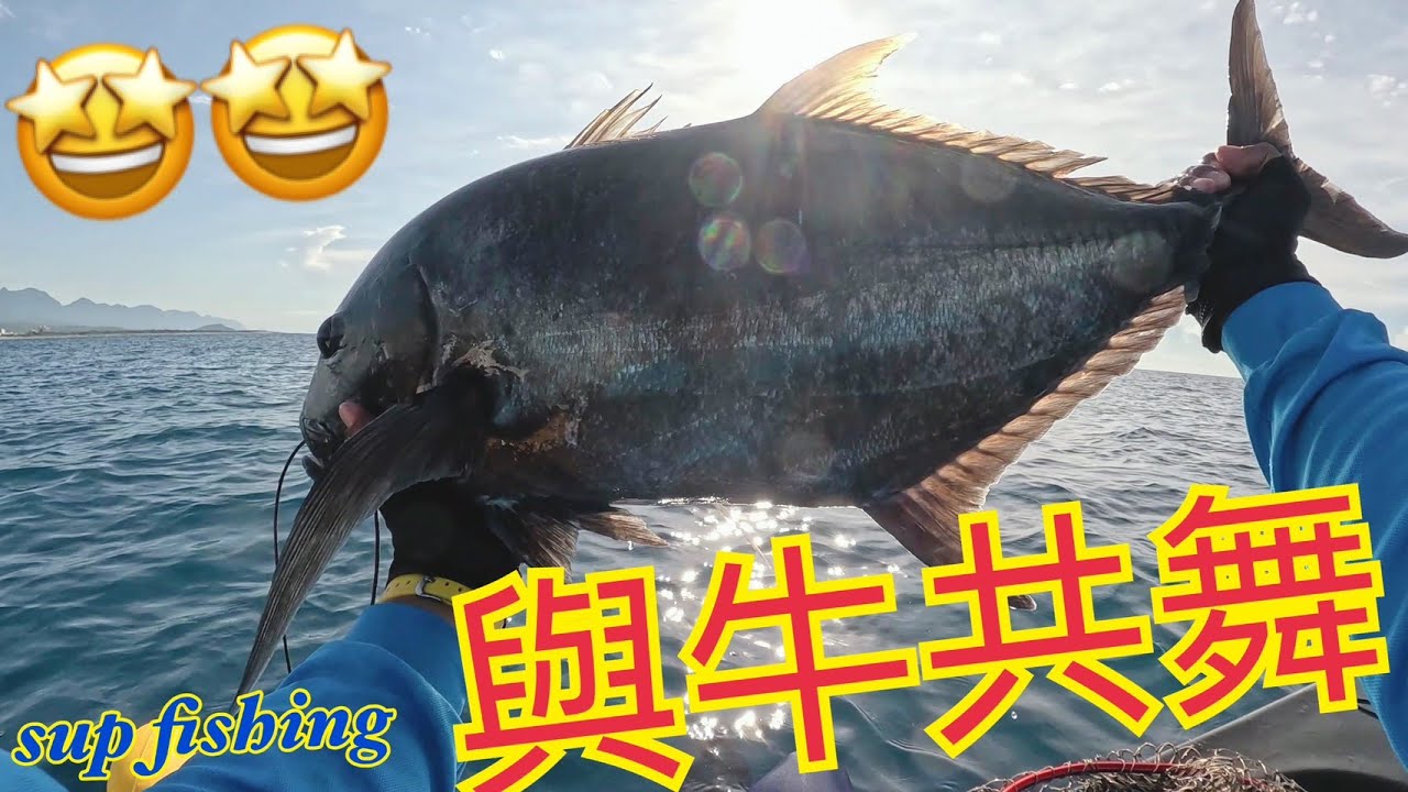 2025年6月東太平洋與牛共舞  #牛港鰺 #藍鰭鰺 #青羽若鰺 #supfishing  #suptaiwan  #shimano