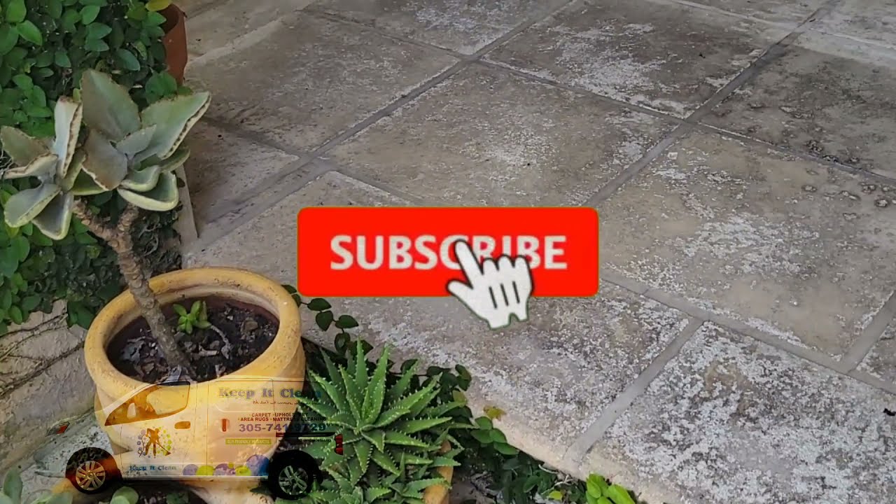 Mold Removal & Travertine Restoration in Miami, FL