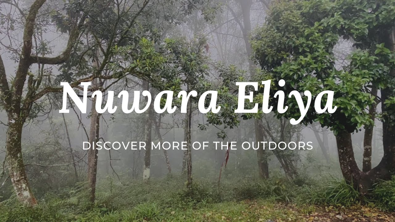 On the way to Nuwara Eliya
