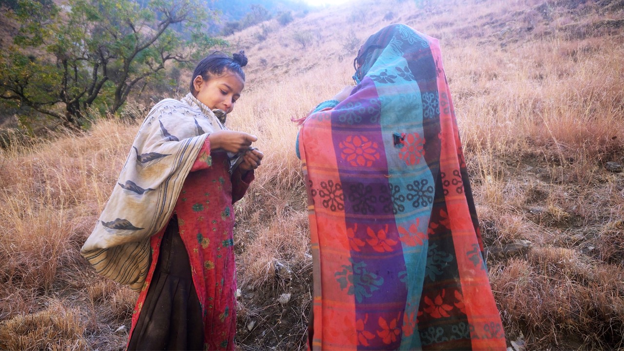 dharme brother daughter is busy to collect grass for the cows || rural Nepal ||@junglefamily