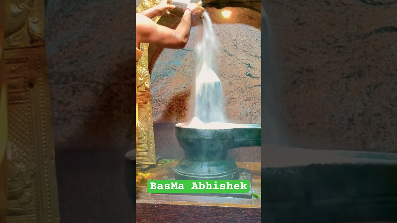 ￼ Basma ￼ Abhishek#shorts #ytshorts #trending