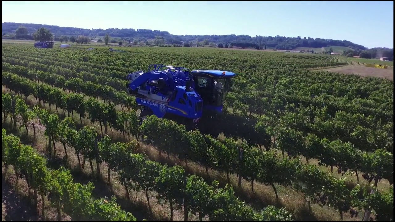 vendanges de rouge 2018 SARL GEFVAD