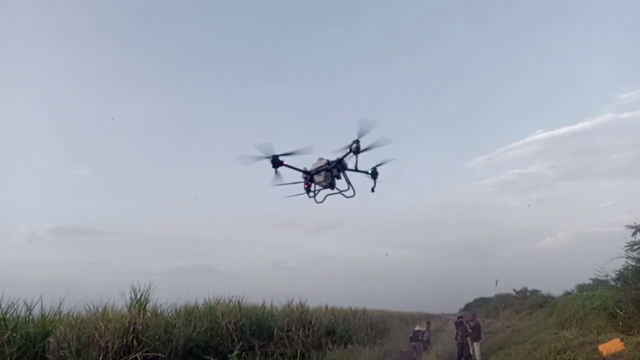 Sugar cane ripper spray by dron