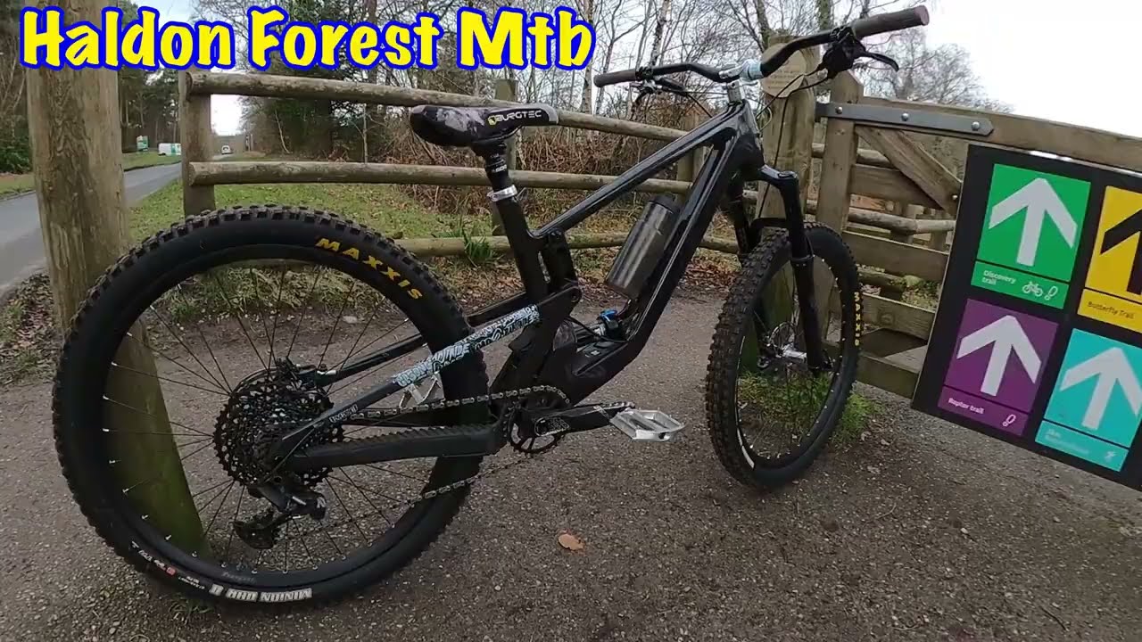 Haldon Forest MTB Trail Centre - Red ridge ride trail and more.. 🌲 