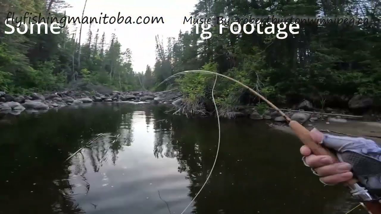 Pine River Manitoba June 2025  - Fly Fishing for Brook trout