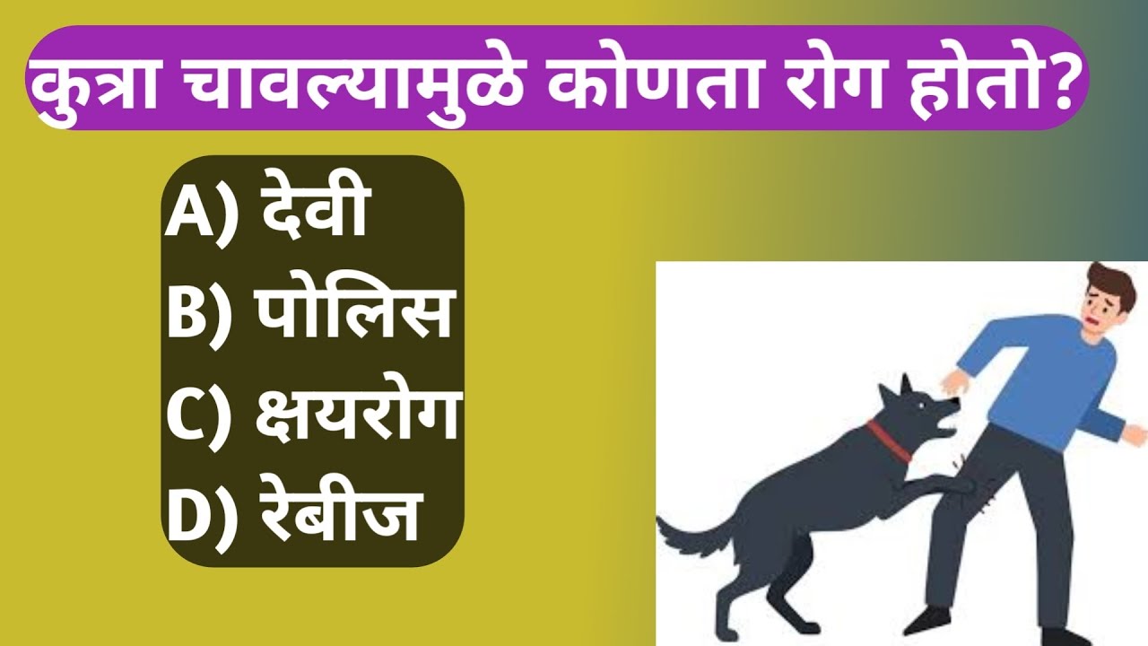 सामान्य ज्ञान यावरील GK Question | GK Question on General Knowledge | Smart GK मराठी