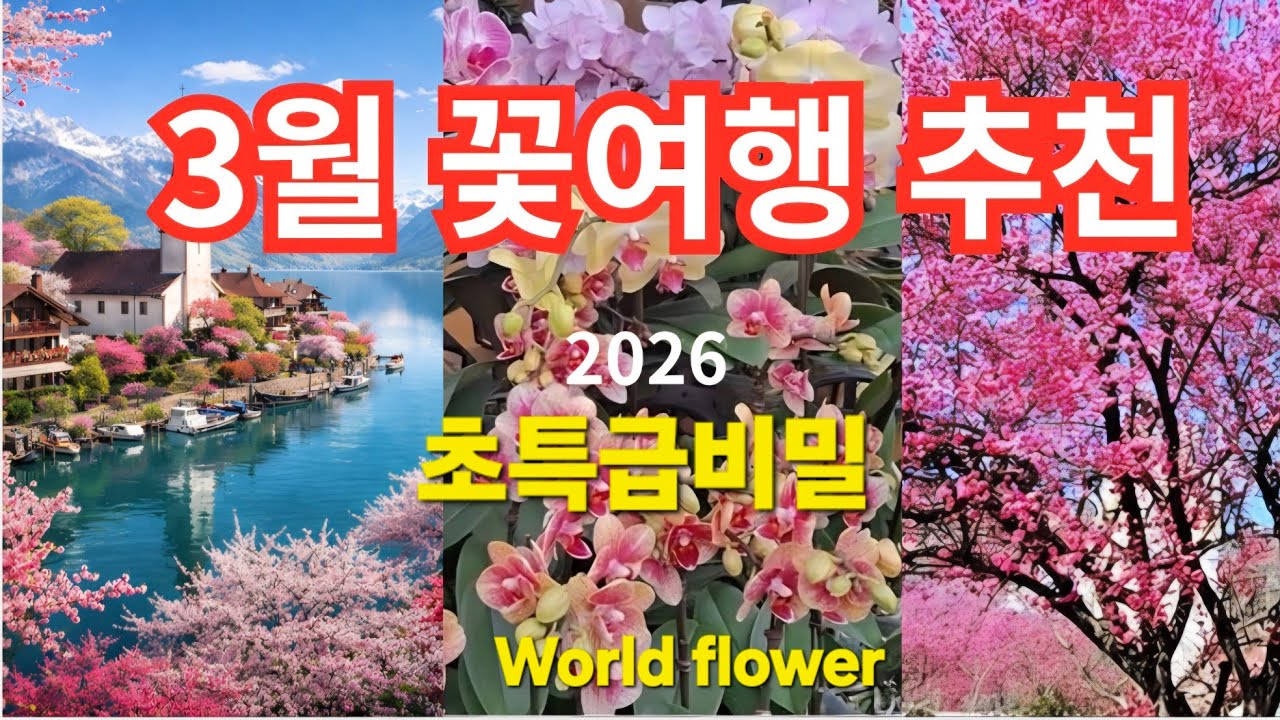 모란장날(꽃)시장/홍매화 추천여행지5/ 매화 전국 1순위 /추천 일정 모음/3월여행 추천/ 세계 꽃정원 힐링 브이로그 World Flower Garden Healing place 