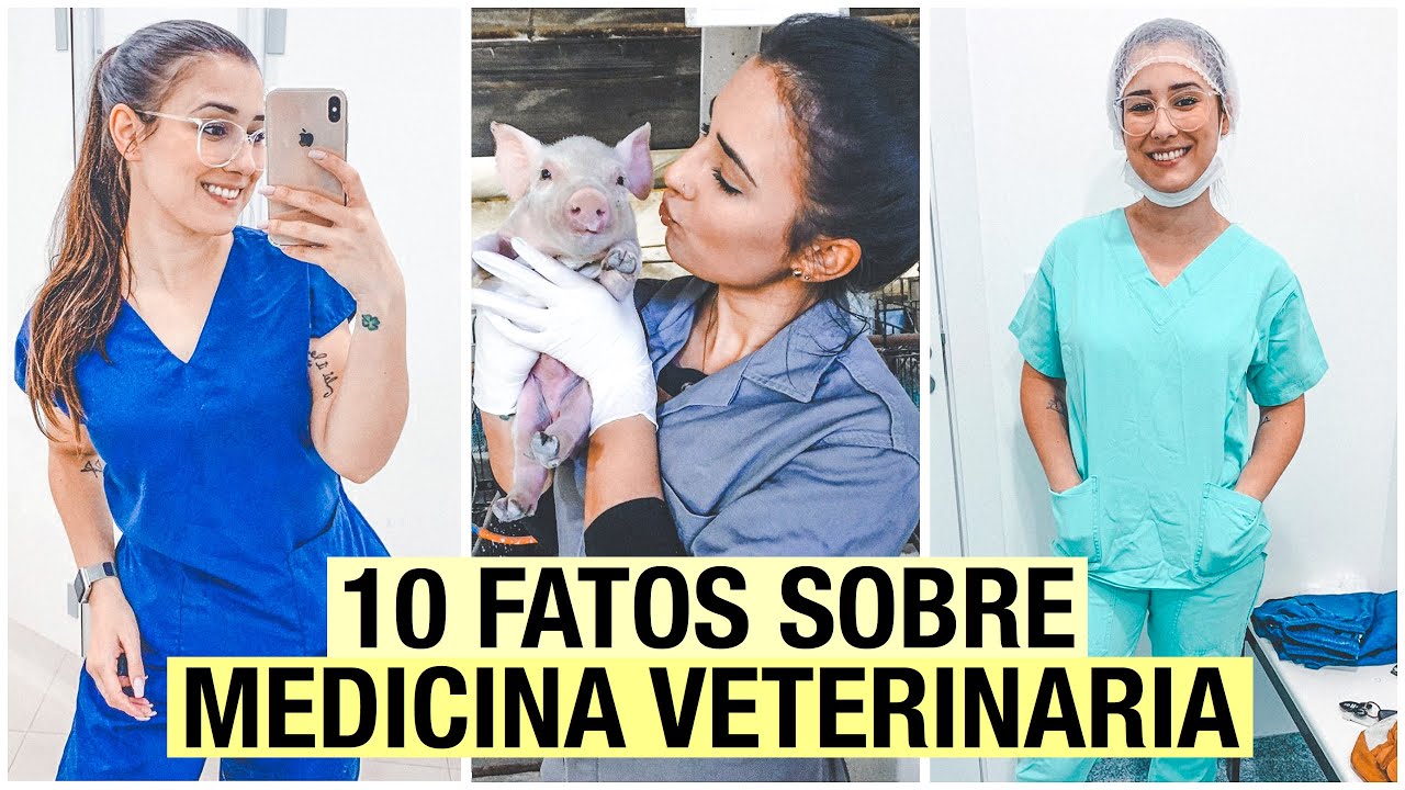 10 FATOS/CURIOSIDADES sobre a FACULDADE de MEDICINA VETERINÁRIA
