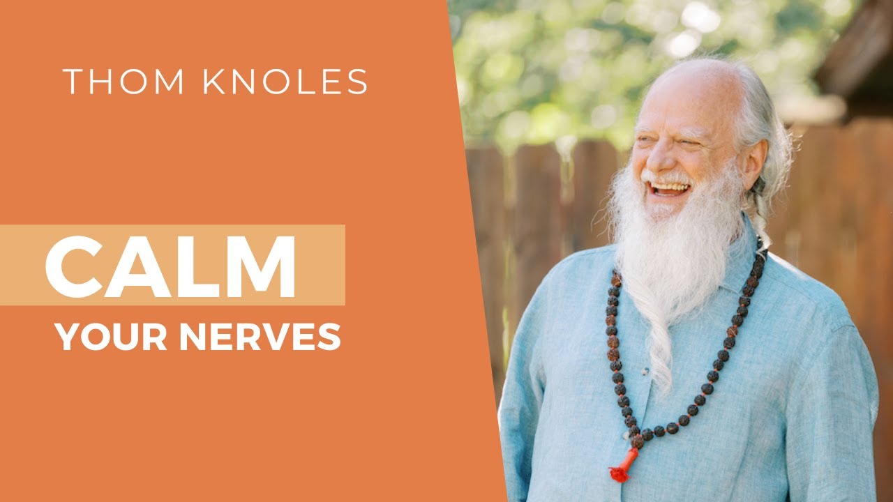 Calming the Nervous System with Vedic Meditation