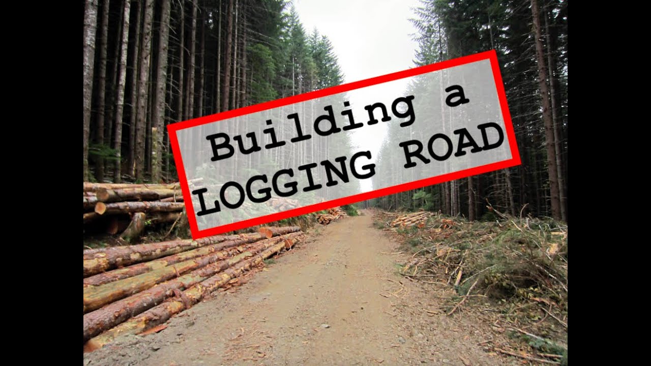 Building a LOGGING Road!