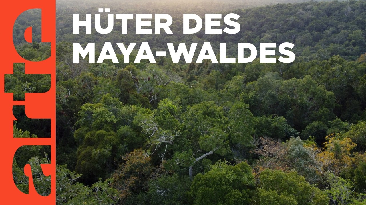 Guatemala: Die Wächter des Regenwaldes | ARTE Reportage