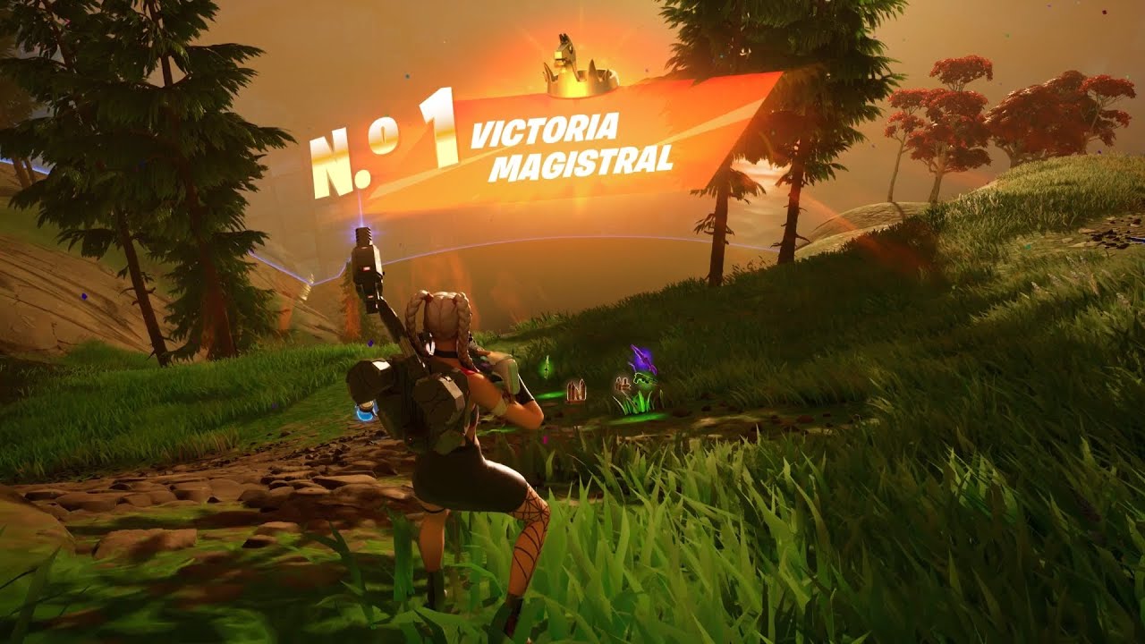 Fortnite_Has quedado Nº1 (9 Eliminaciones)