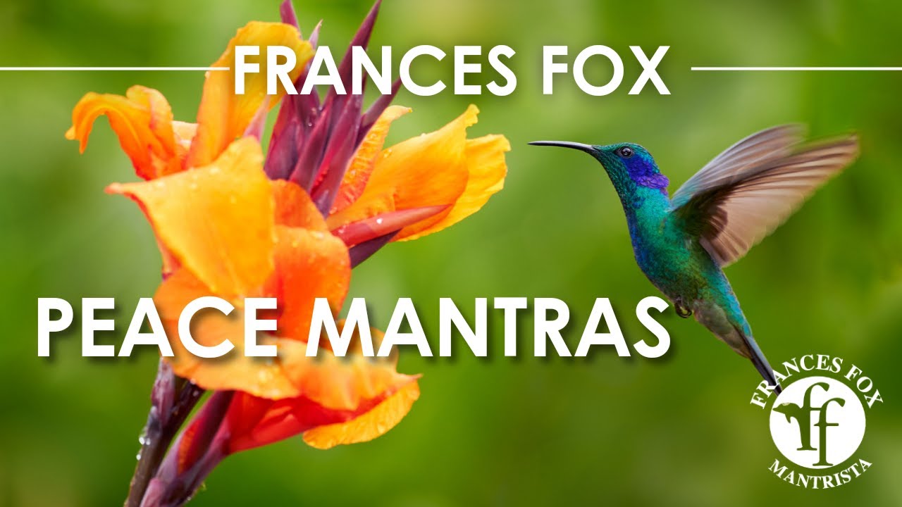 PEACE MANTRA-FOX SENSORY THERAPY VIDEO