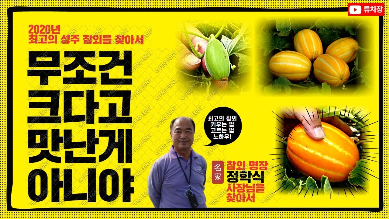 2020년 성주 최고의 참외를 찾아서! 큰게 맛있는게 아니에요.(Feat. 무대본)