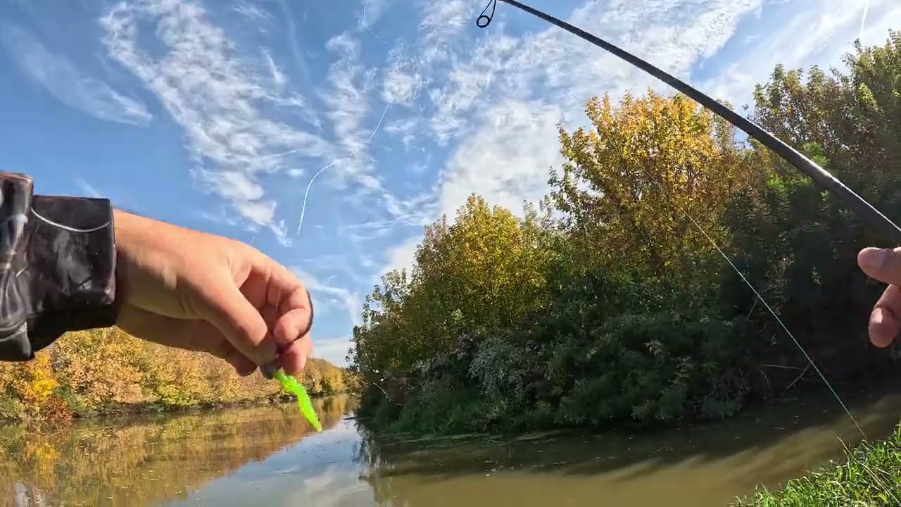 Fishing on Sió & Sárvíz : zanders + chub ✅ -  sió & sárvíz  csatornapeca : süllők és domi  ✅ /4K/