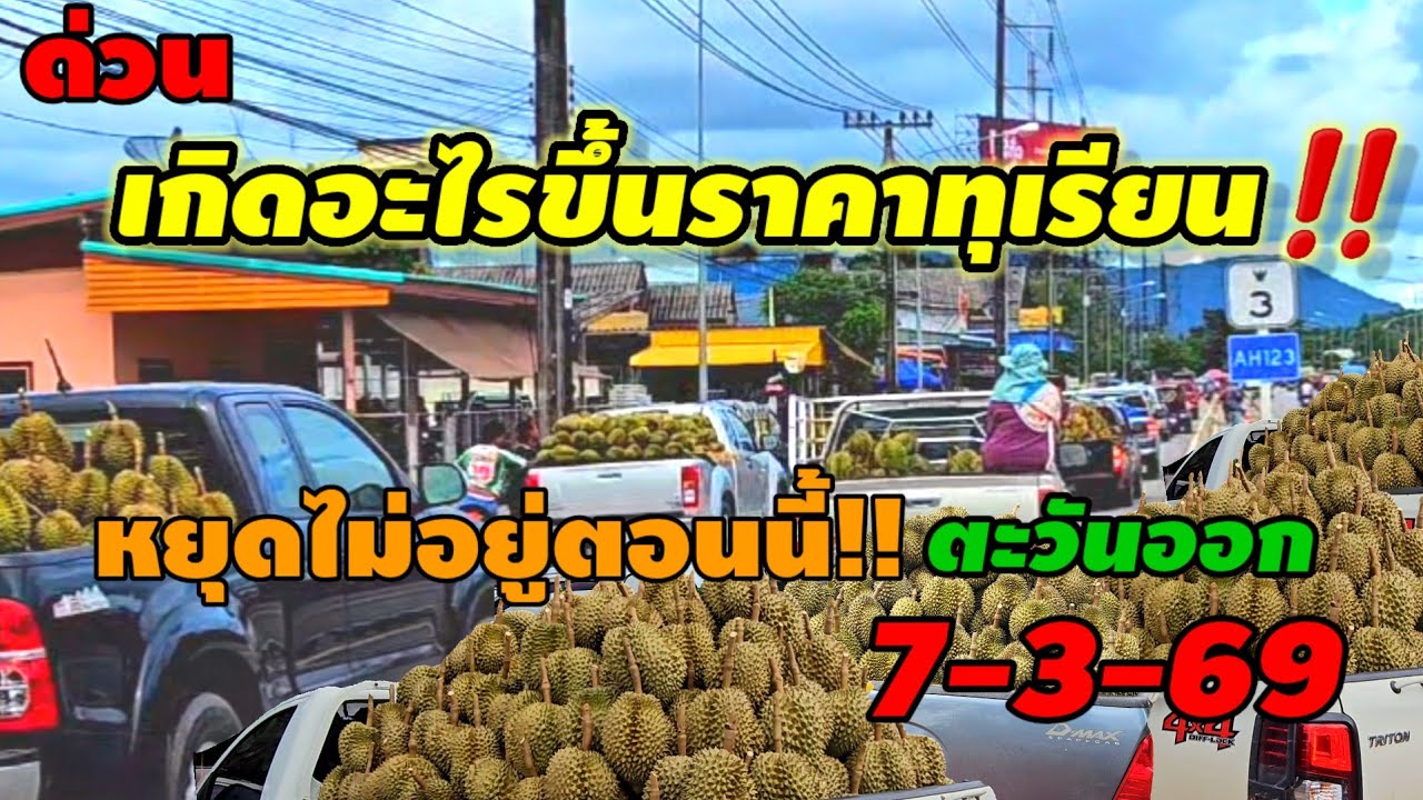 เกิดอะไรขึ้น!ราคาทุเรียนวันนี้จันทบุรี7-3-69#ชาวสวนทุเรียน#พ่อค้าแม่ค้า #food #streetfood 