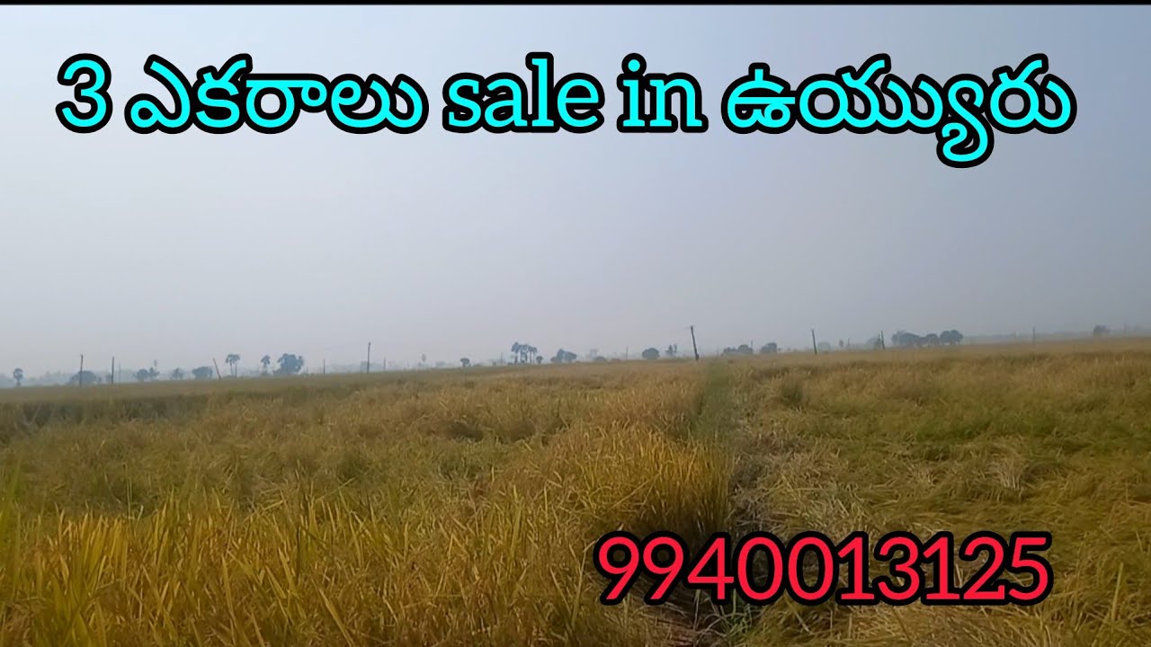 5 ఎకరాలు sale in near ఉయ్యురు, కనకవల్లి, 9940013125- AD -195