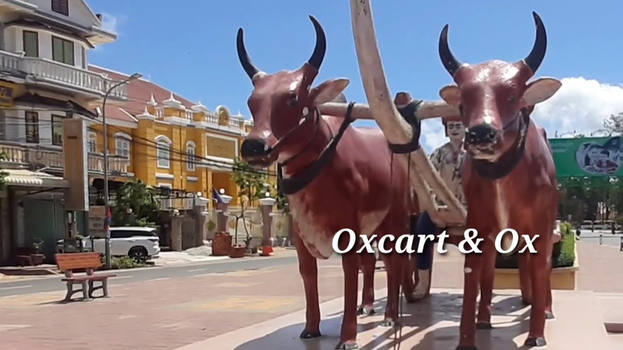 Visit Svay Rieng Province, Cambodia | Digital Eyes Group