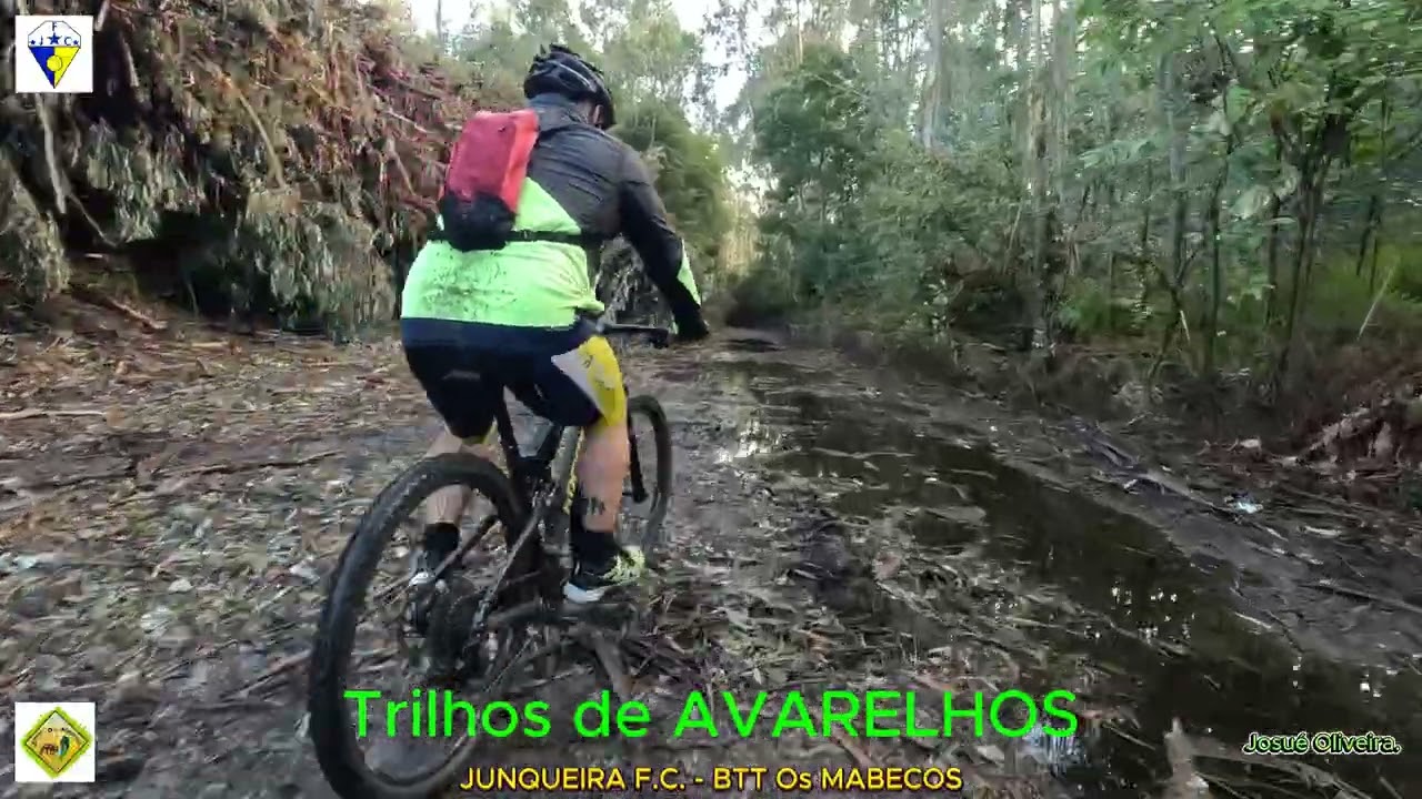 Trilhos de ALVARELHOS - Os MABECOS.