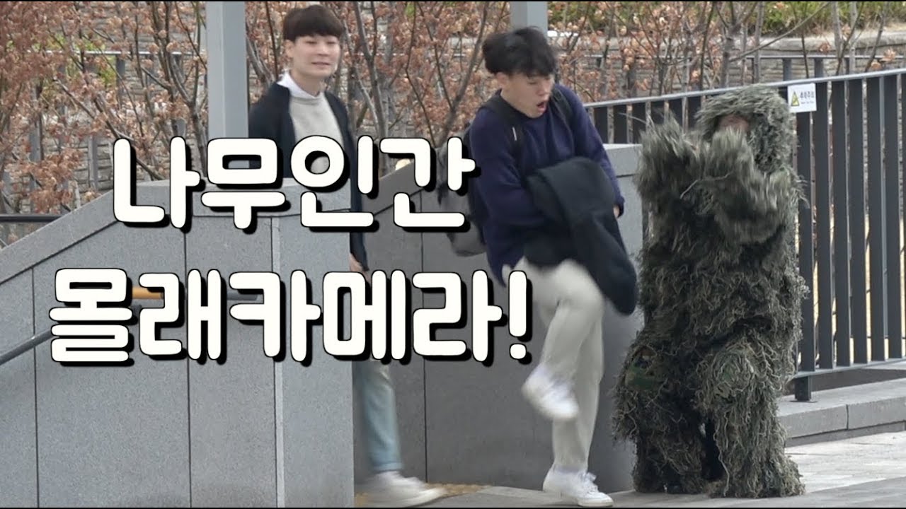 갑자기 나무가 움직인다면?!! ㅋㅋㅋㅋ