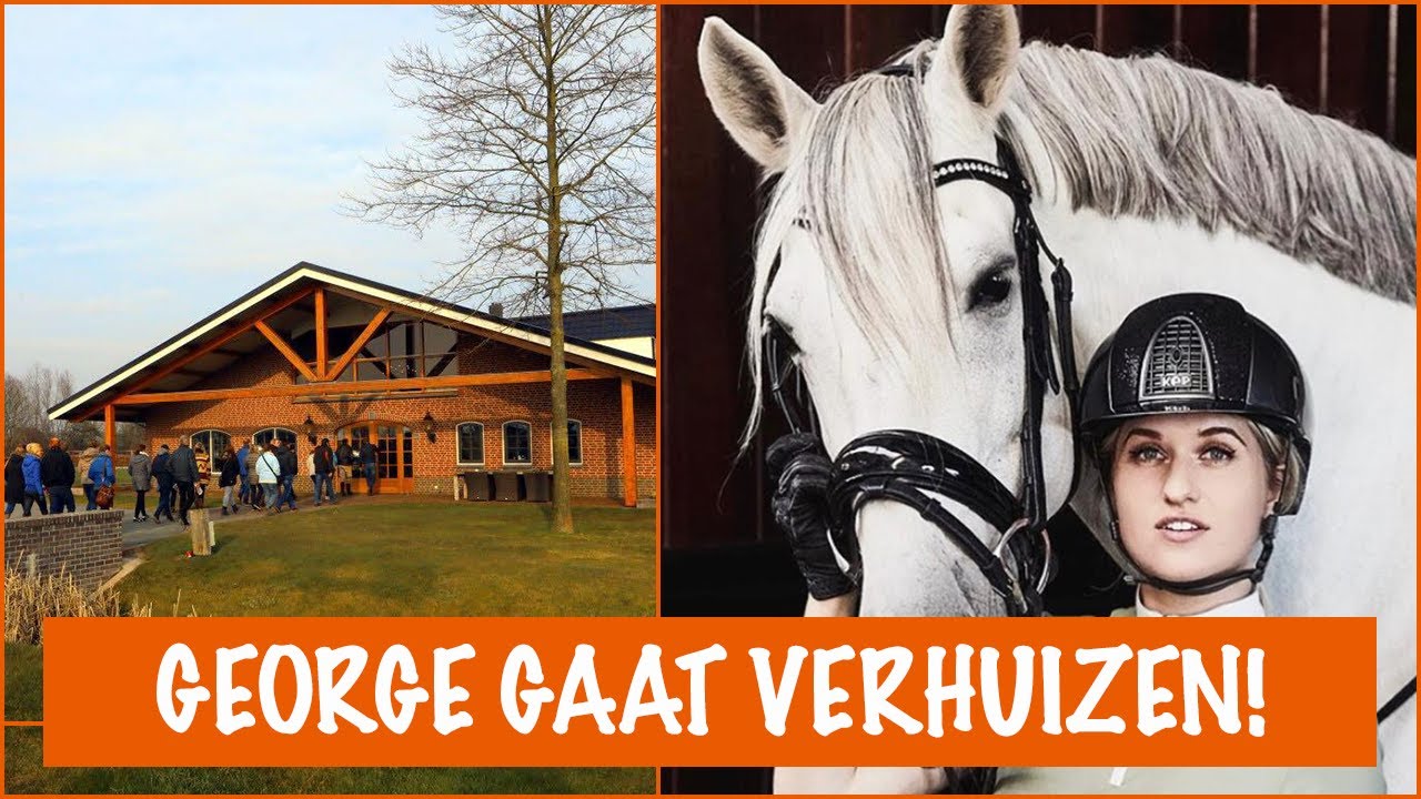 Waar gaat George heen? | PaardenpraatTV