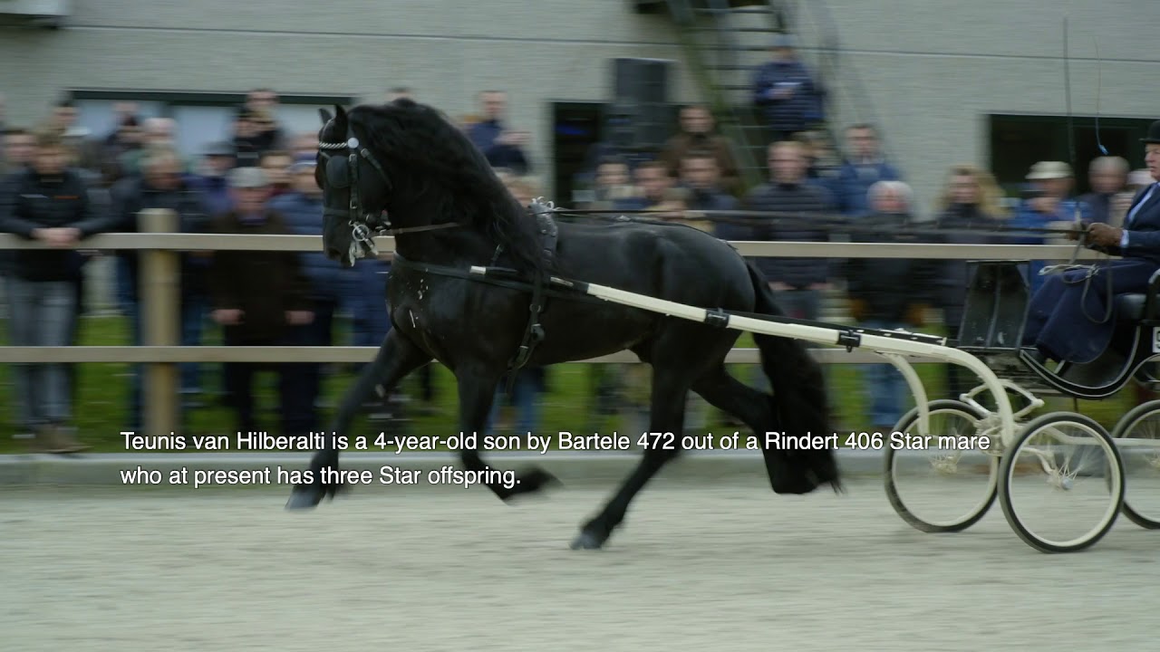 Teun 505