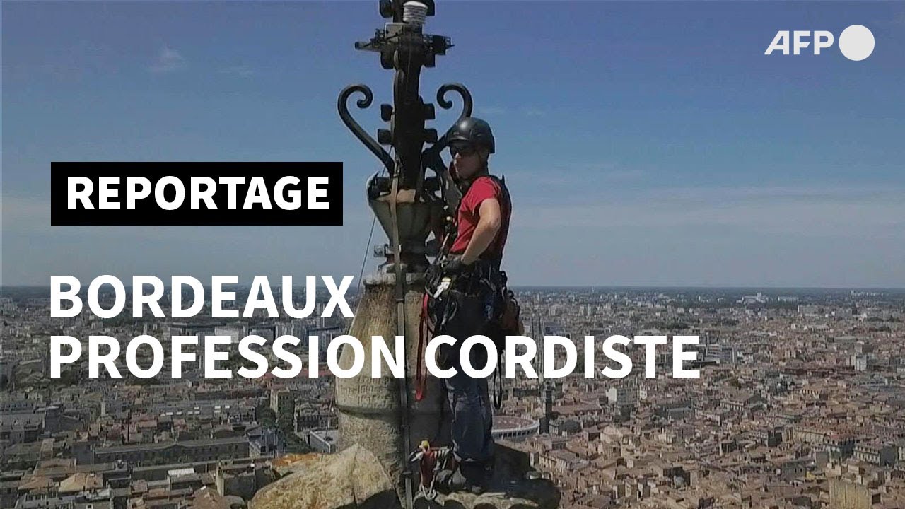 Profession cordiste: à la découverte d'un métier vertigineux | AFP