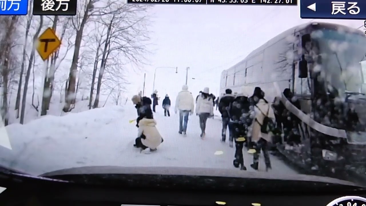 車が来てもお構い無し！！！