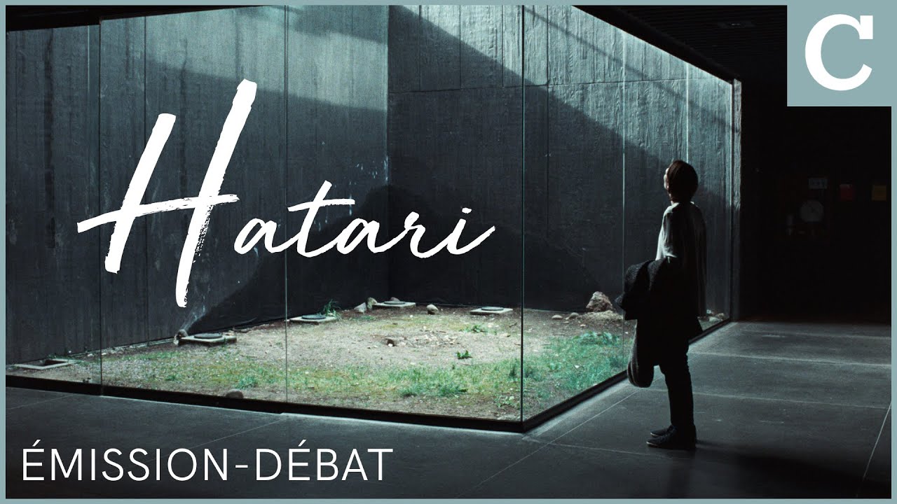 Hatari - Memoria d'Apichatpong Weerasethakul