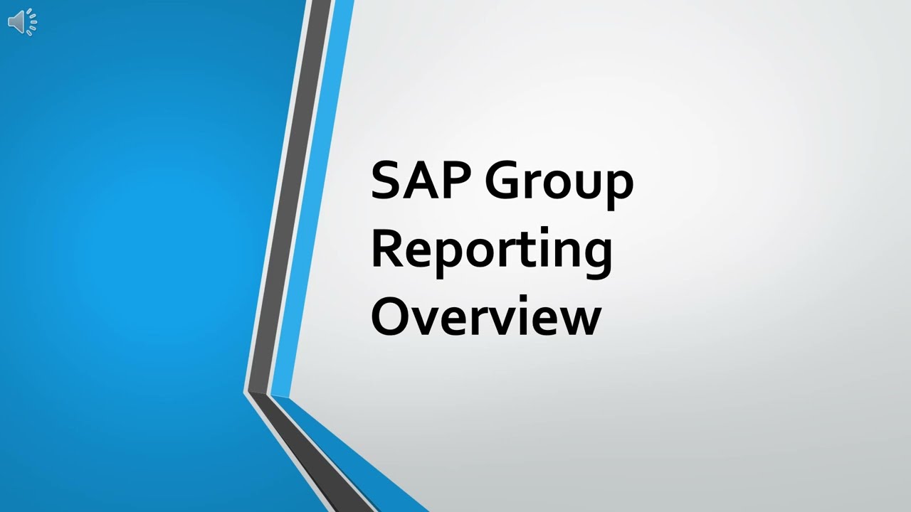 Overview on SAP - Group Reporting
