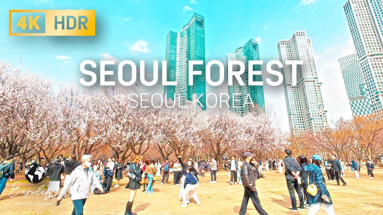 Walking with Early Spring Cherry Blossom in Seoul Forest Park | Seongdong-gu, Seoul, Korea [4K HDR]