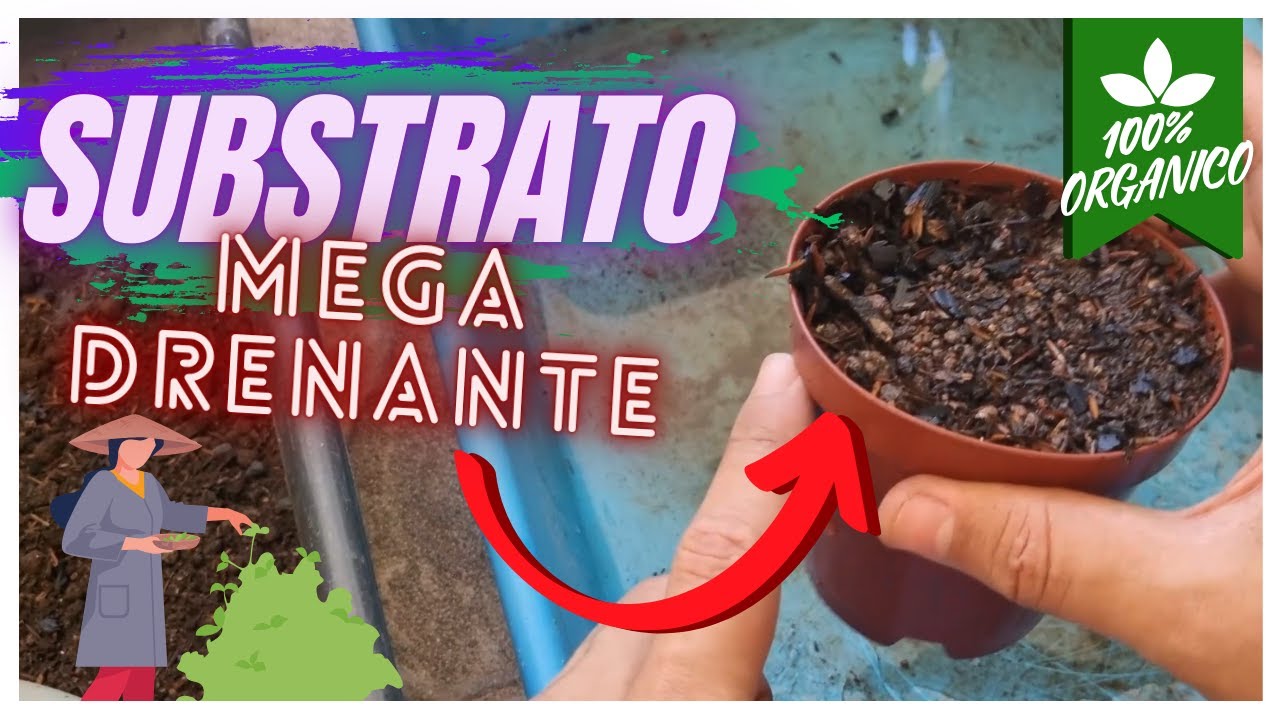 COMO FAZER SUBSTRATO 100% ORGANICO IGUAL DOS VIETNAMITAS PASSO A PASSO // CRIANDO BONSAI