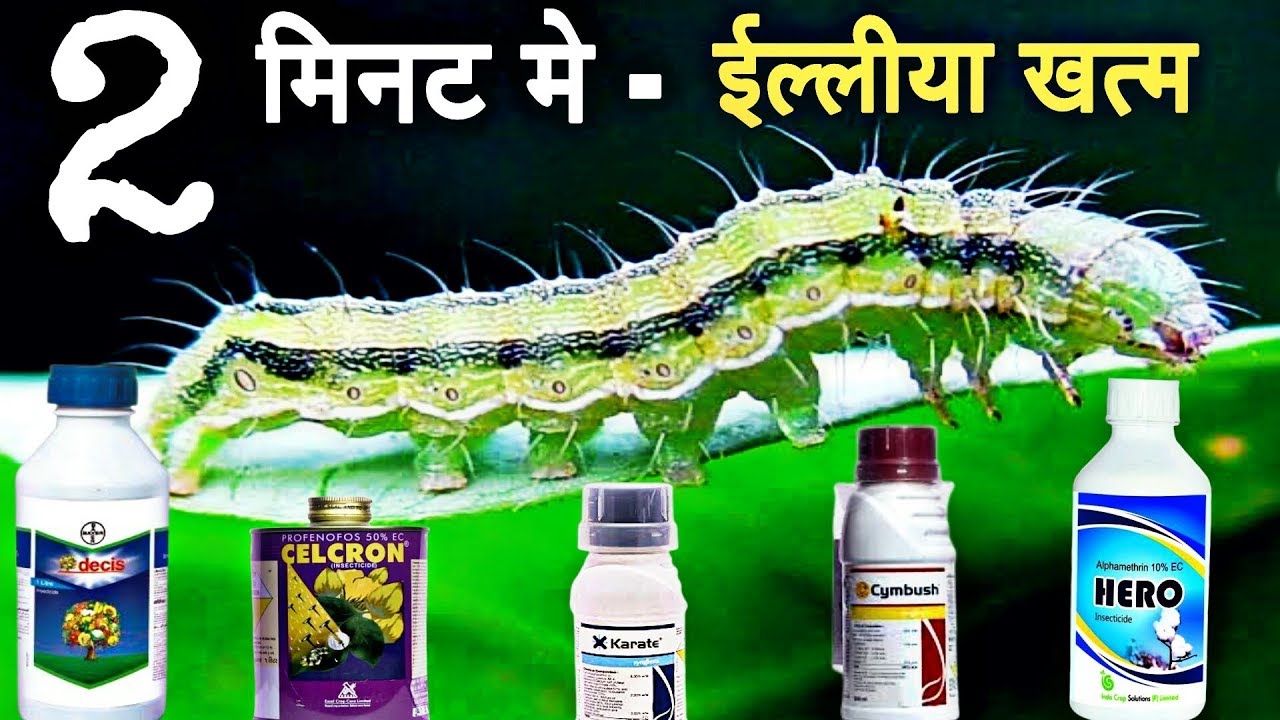 Contact Insecticide for Agriculture crop