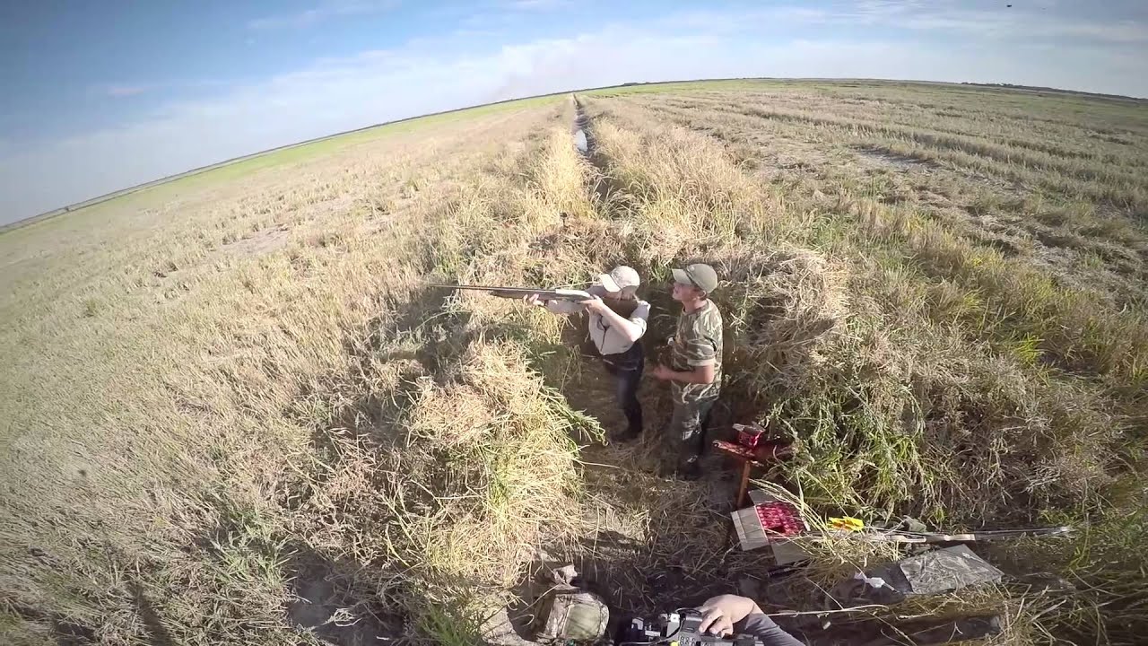 Dove Hunting with Larysa Switlyk in Argentina @ Pointer Outfitters