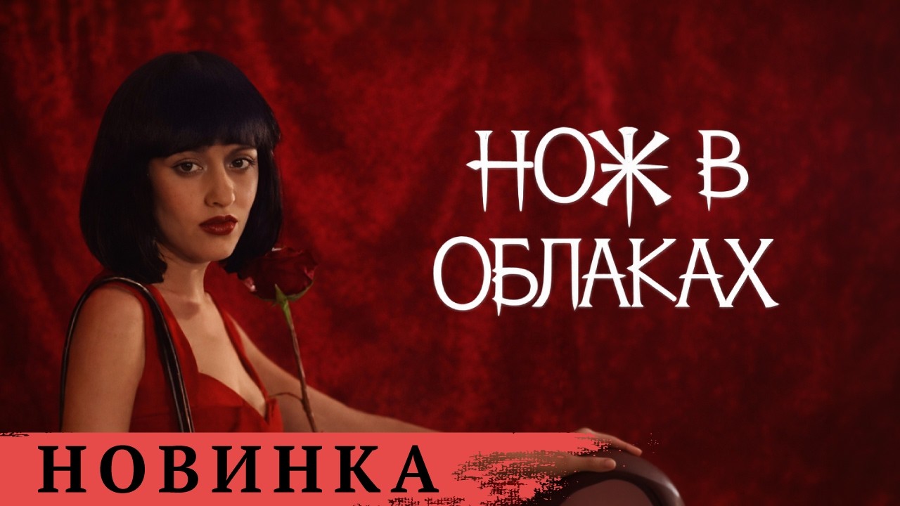 ЖУТКАЯ НАХОДКА: КАК ВАРА САМАРИНА ОКАЗАЛАСЬ ВТЯНУТА В ОПАСНОЕ РАССЛЕДОВАНИЕ. НОЖ В ОБЛАКАХ. ДЕТЕКТИВ