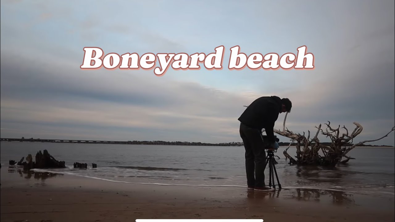 Large format at the beach - wet plate photography at bonyard