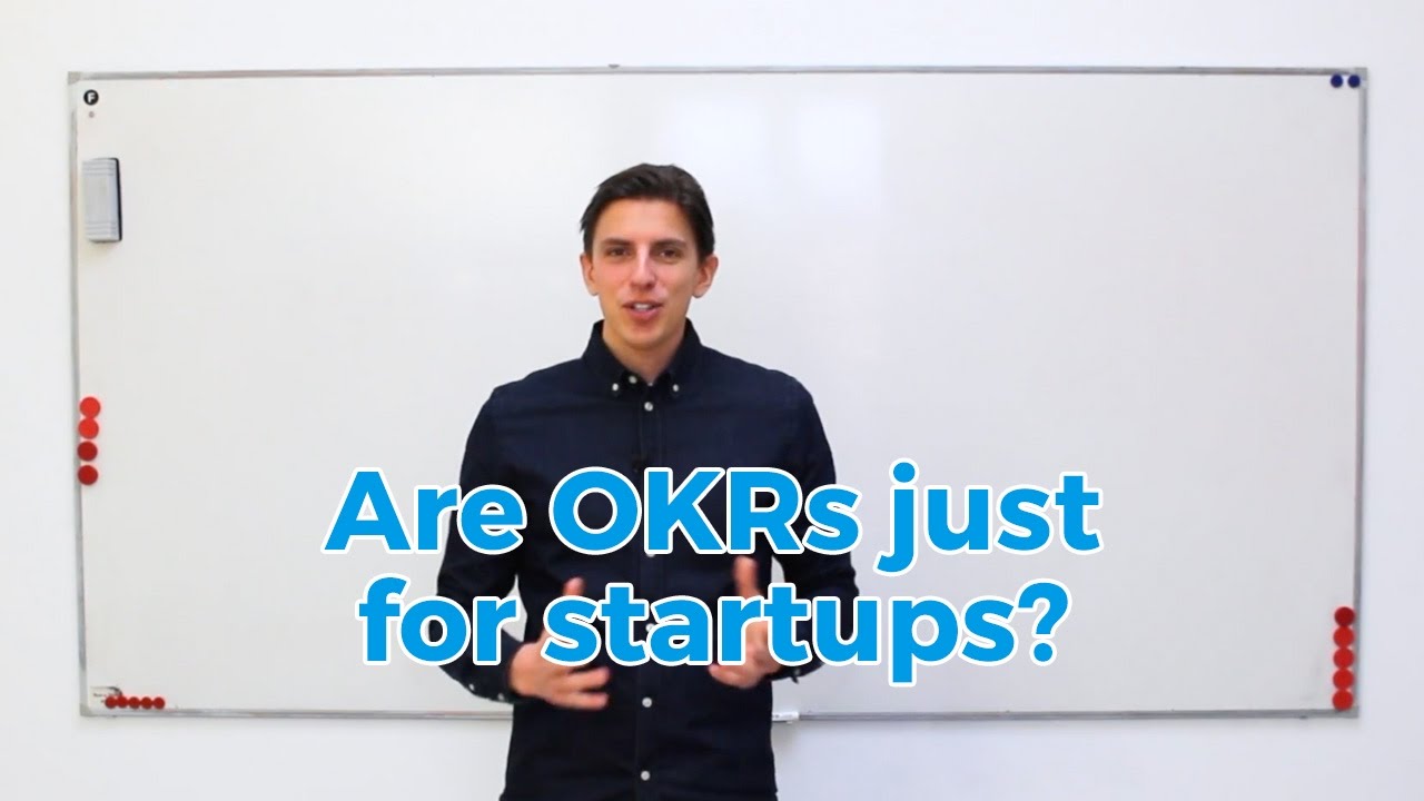 What types of companies can benefit from OKR?