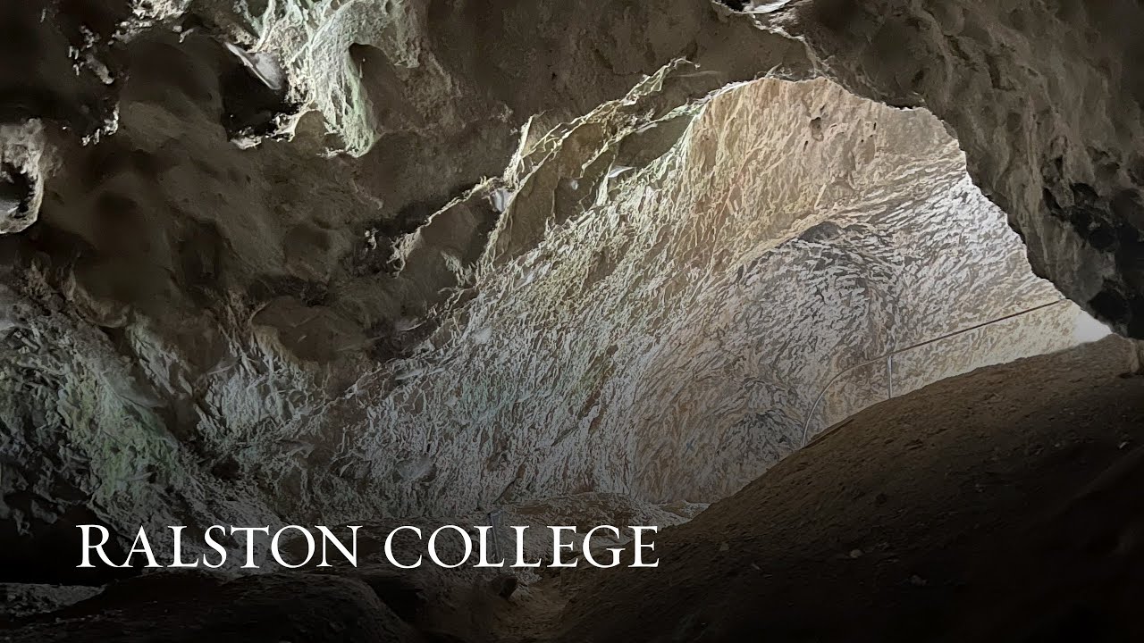 From the Cave of Pythagoras: A Lecture and Discussion with Douglas Hedley