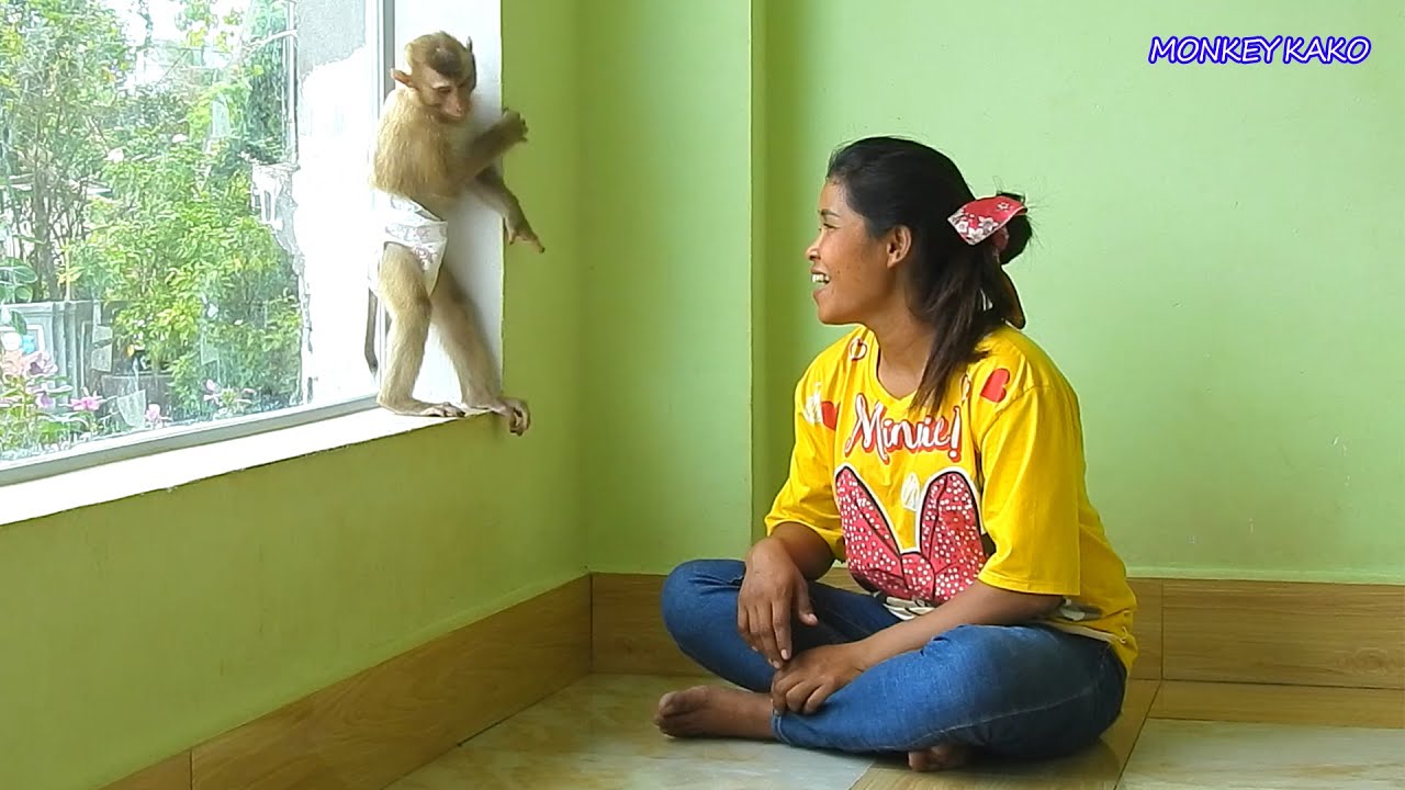 Smart Monkey Kako Stand Excited When Mom Play And Call His Name